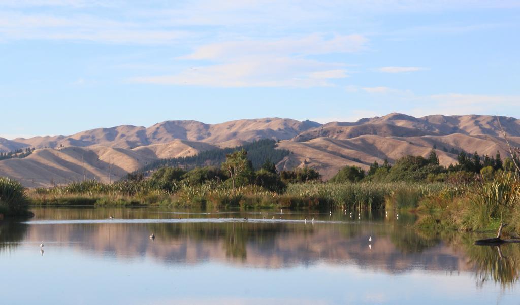 Misty River Retreat Blenheim Luaran gambar